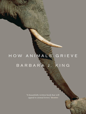 cover image of How Animals Grieve